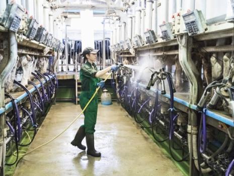 Veterinerlik Hijyen Ürünleri