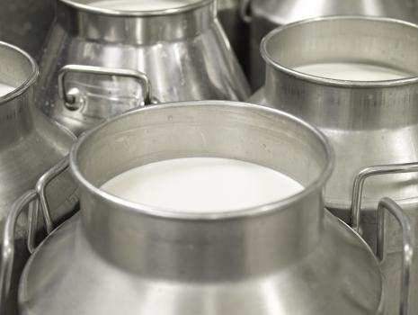 Barınak, Ekipman ve Tank Hijyeni