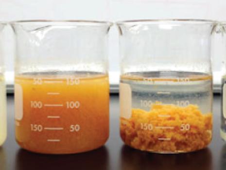 Paint Coagulation Chemicals