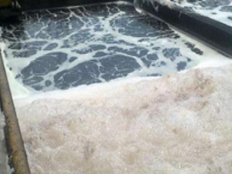 Antifoam Deodorizers