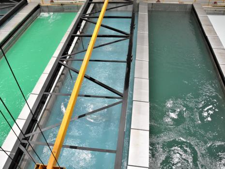 Yağ Alma Kimyasalları