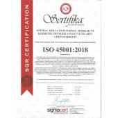 TS ISO 45001:2018 İş Sağlığı ve Güvenliği Yönetim Sistemi 